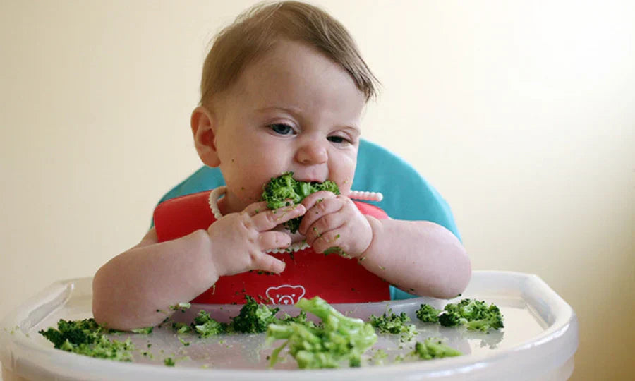 Unraveling BLW: Baby-Led Weaning as a Method of Complementary Feeding