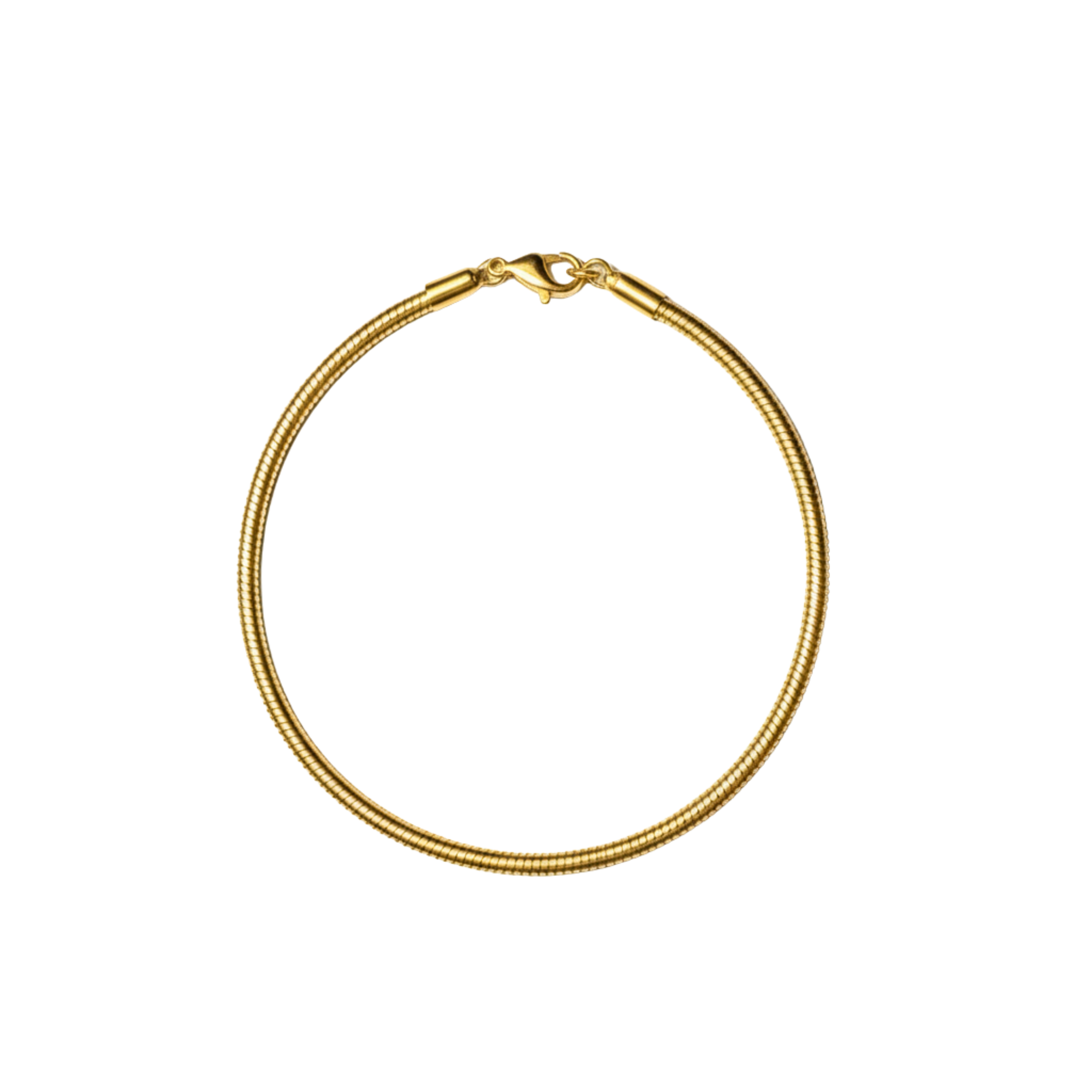 Charm Bracelet